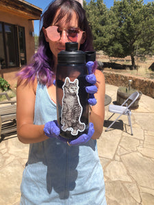 New! Masked Meow STICKER