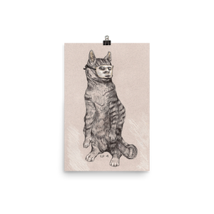 cat drawing poster 